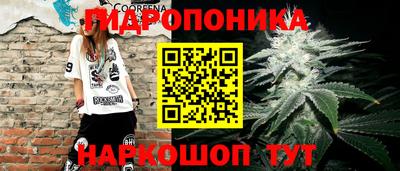 марки nbome Сланцы