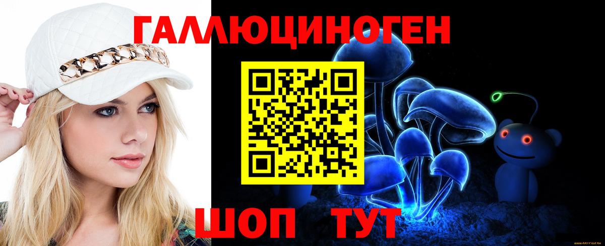 Галлюциногенные грибы Psilocybe  Псилоцибиновые грибы мицелий  Вход с VPN  Сальск 